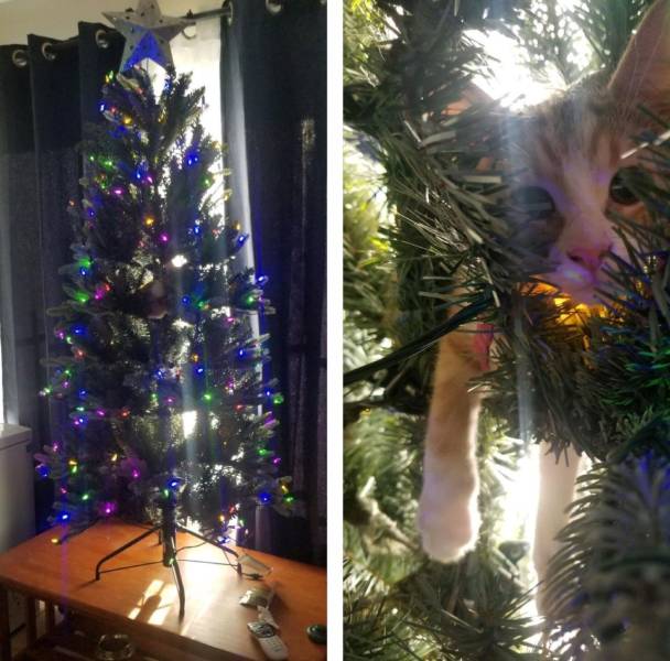 Daily Picdump