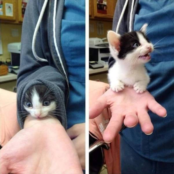 Daily Picdump