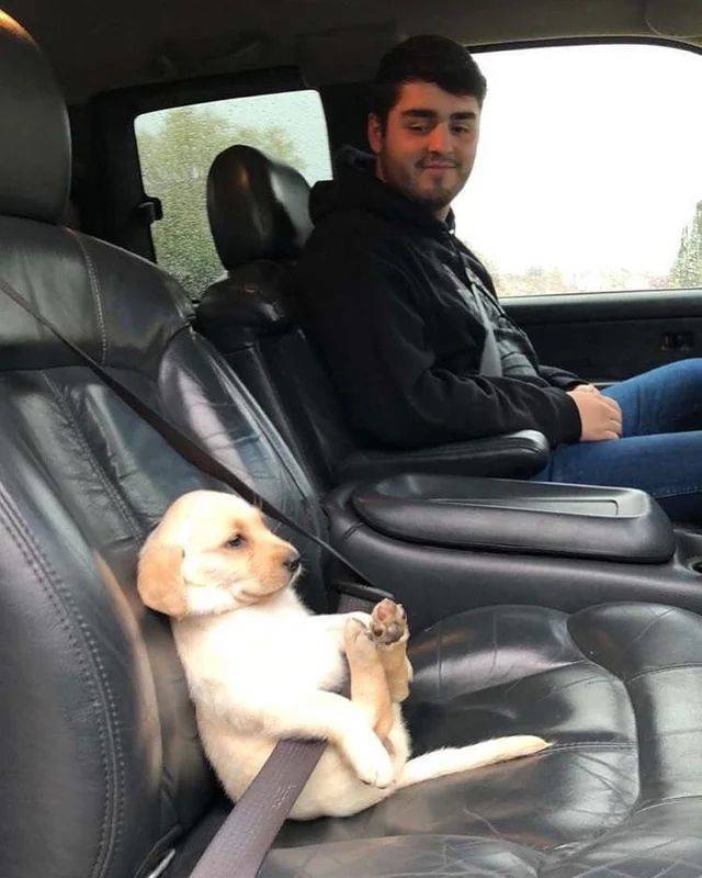 Daily Picdump