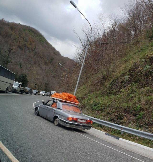 Daily Picdump