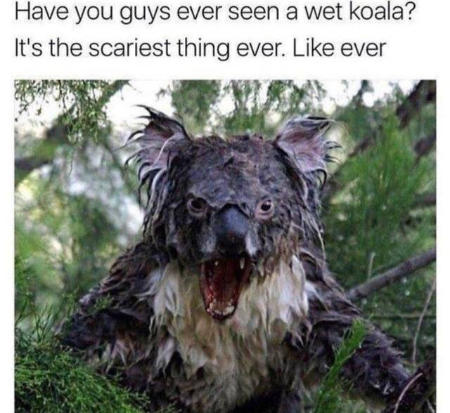 Funny Picdump
