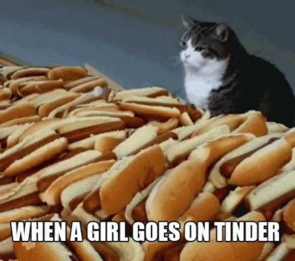 Funny Picdump
