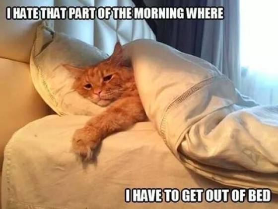 Funny Picdump