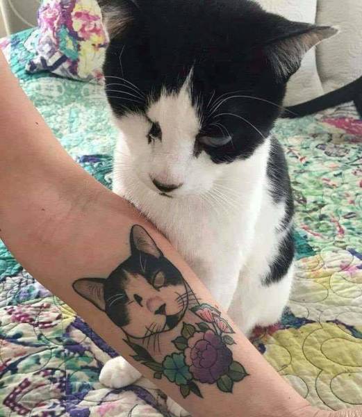 Morning Picdump