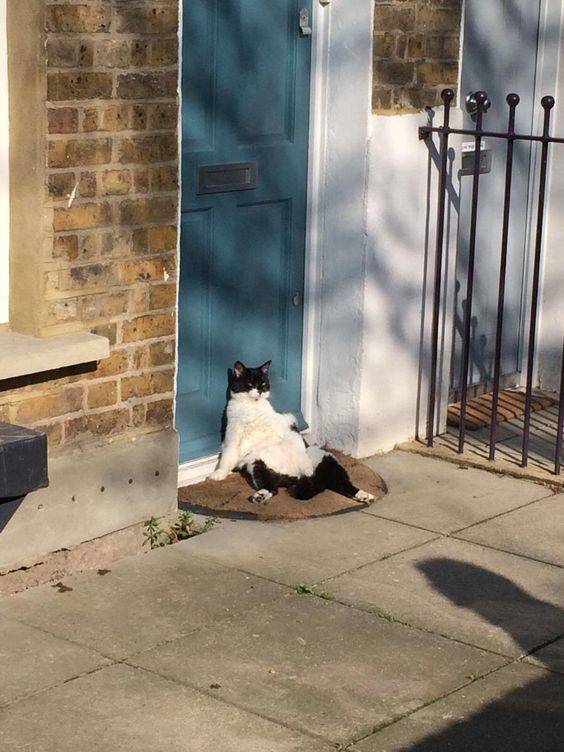 Morning Picdump