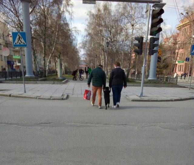 Daily Picdump
