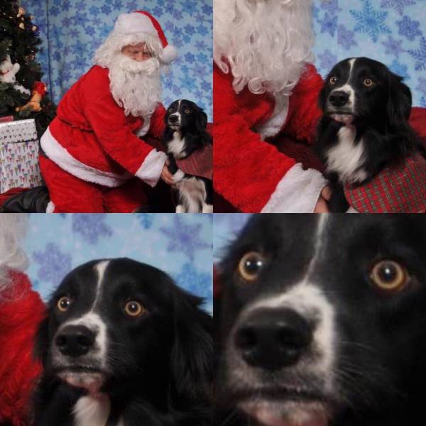 Daily Picdump