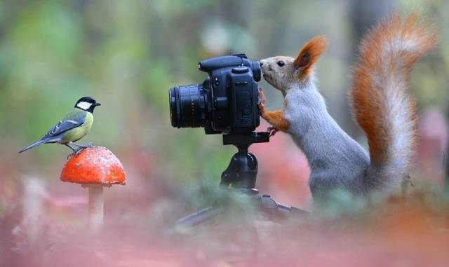 Daily Picdump