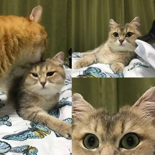 Daily Picdump