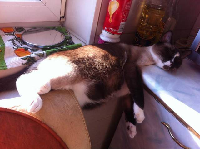 Daily Picdump