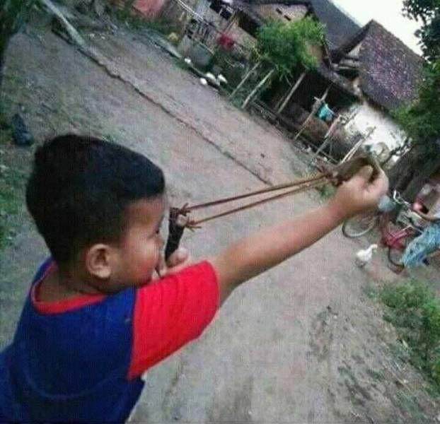 Content Image