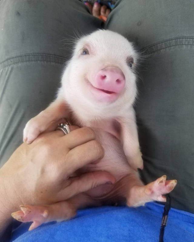 Daily Picdump