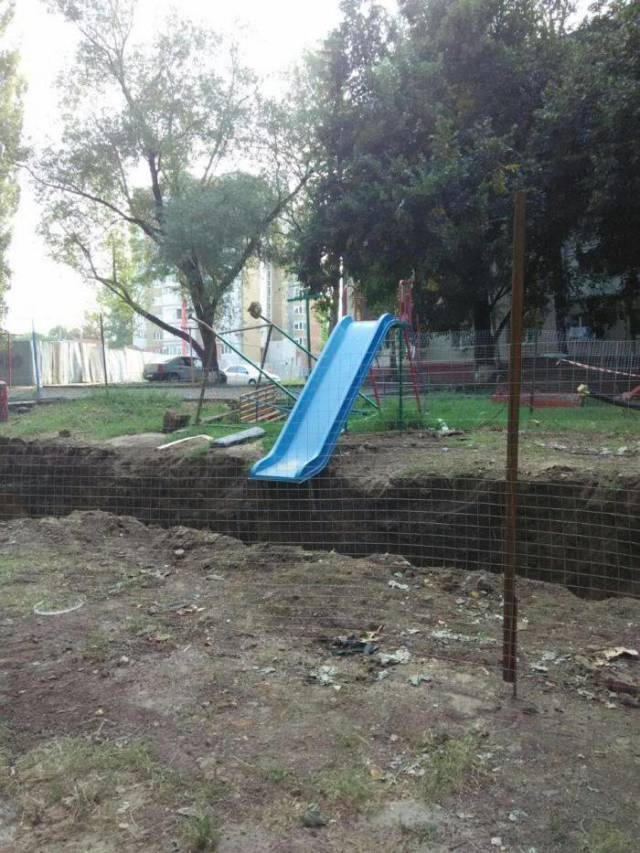 Daily Picdump