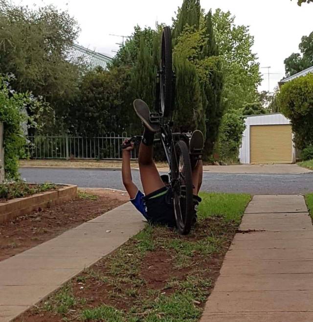 Daily Picdump