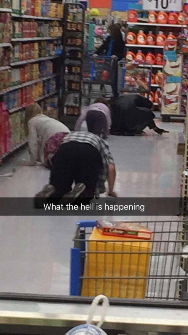 Daily Picdump