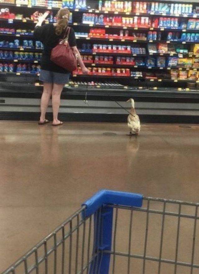 Daily Picdump