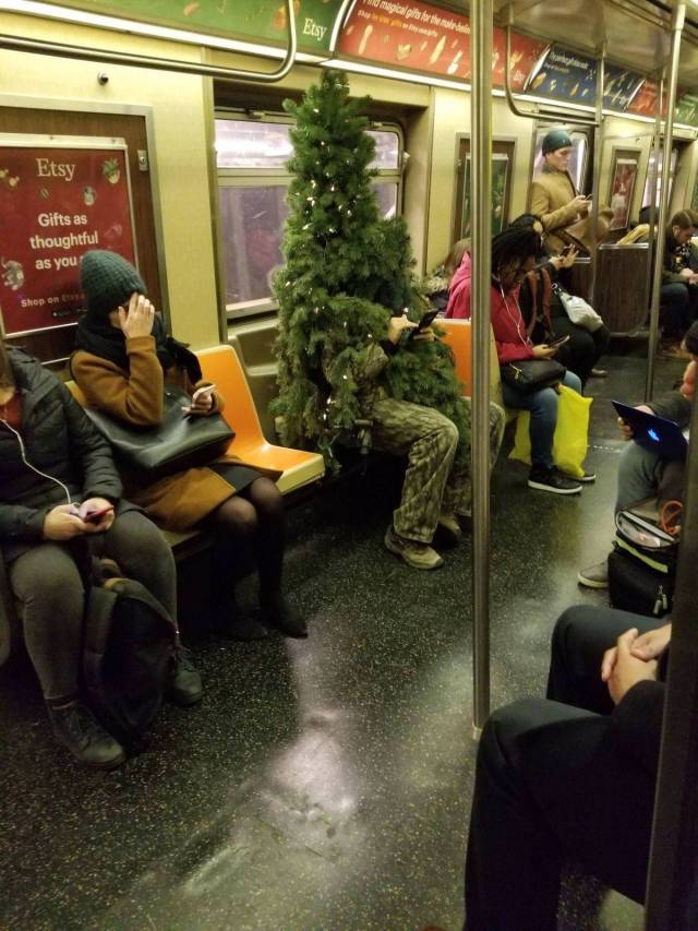 Content Image