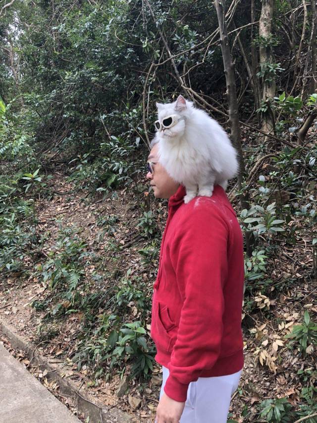 Content Image