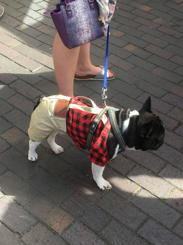 Morning Picdump