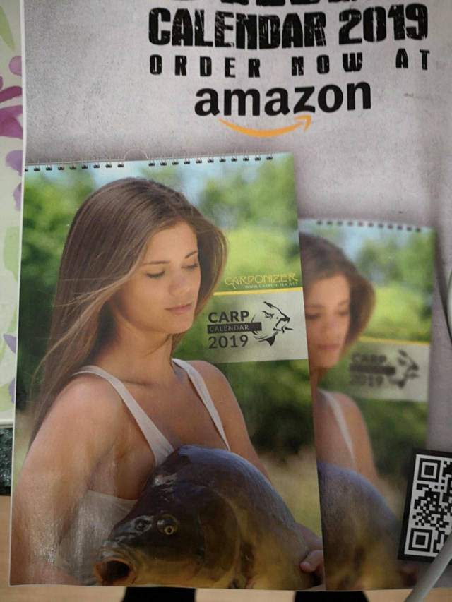 Morning Picdump