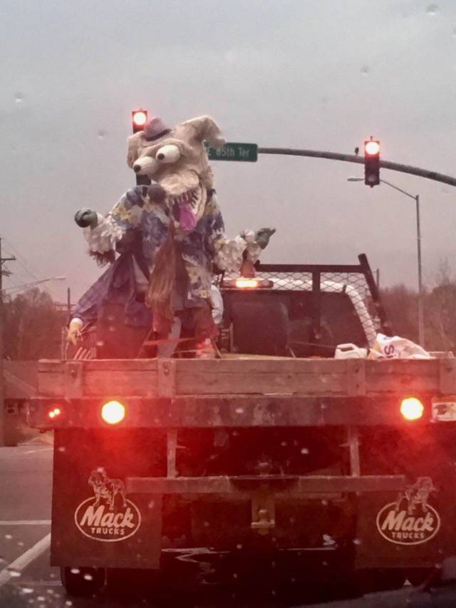 Hard-to-explain WTF Photos