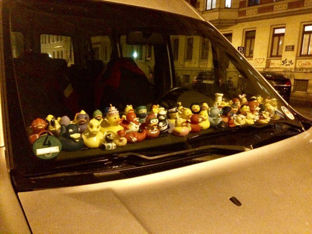 Morning Picdump