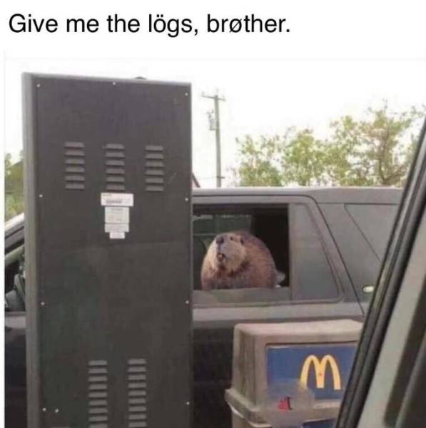Morning Picdump