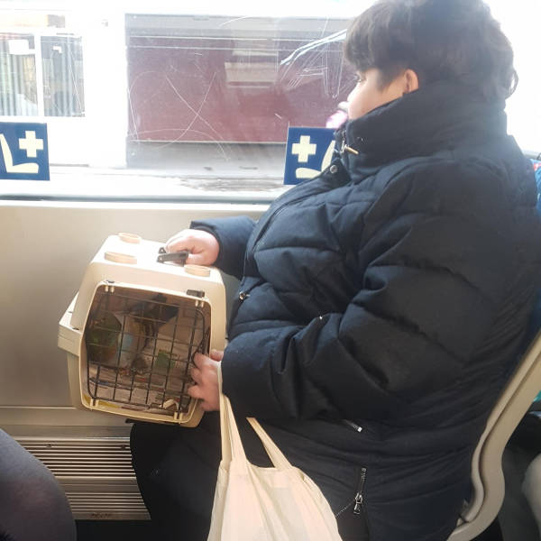Content Image