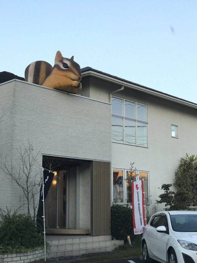 Content Image