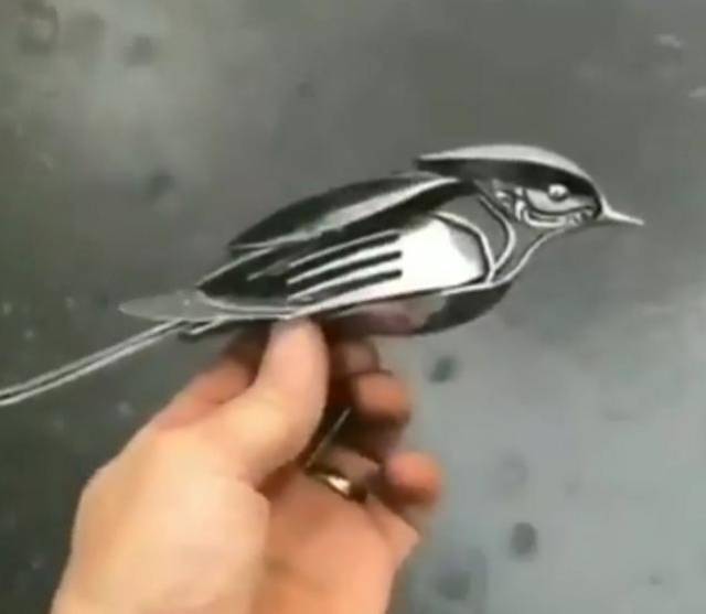 Morning Picdump