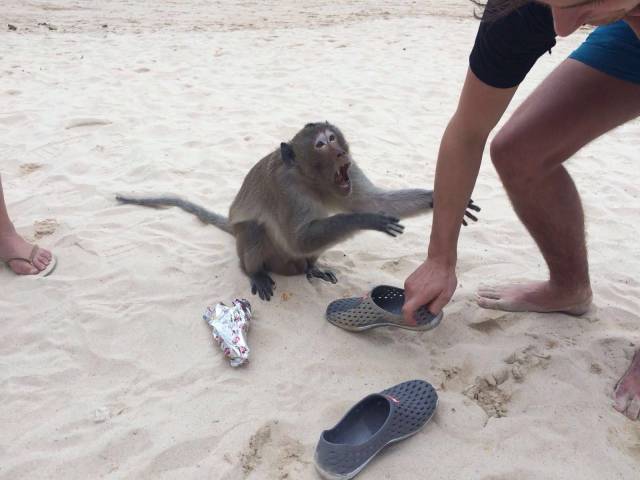 Daily Picdump