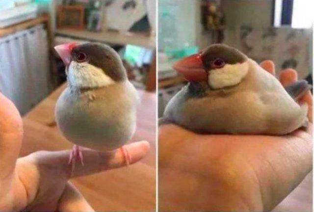 Daily Picdump