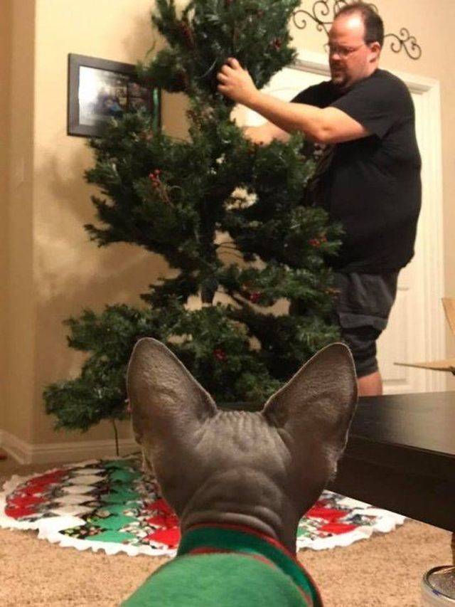 Daily Picdump