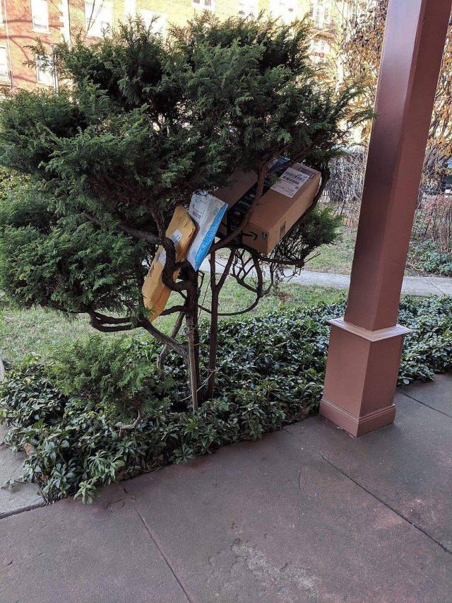 Content Image