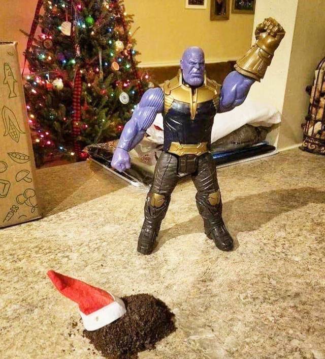 Content Image