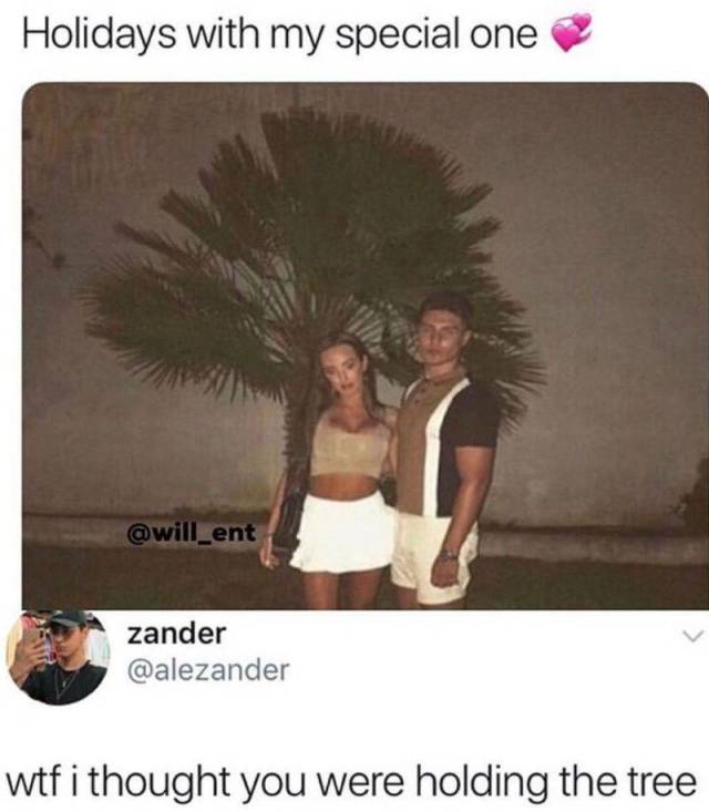 Content Image