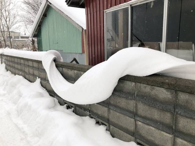 Hard-to-explain WTF Photos
