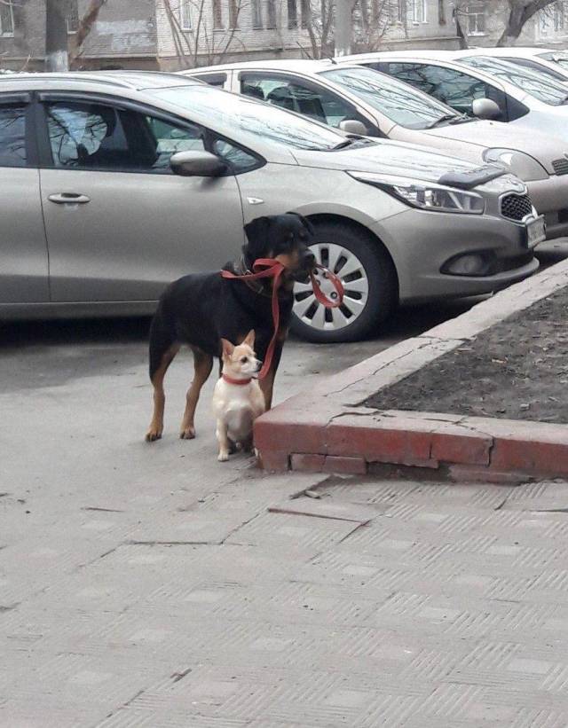 Daily Picdump