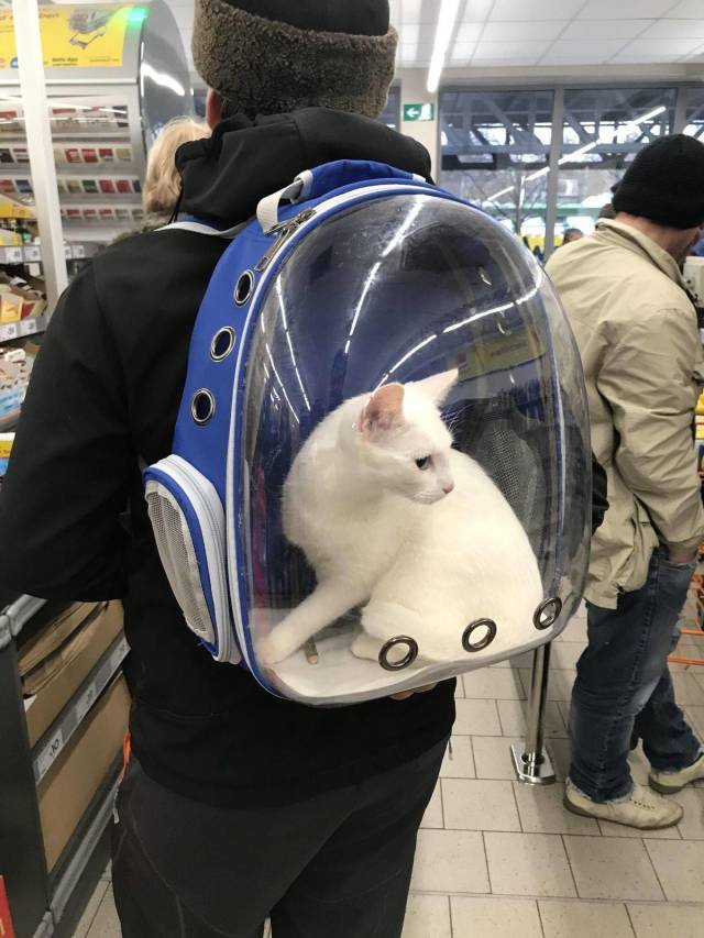 Daily Picdump