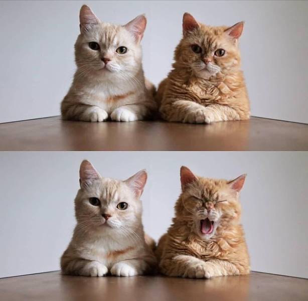 Daily Picdump