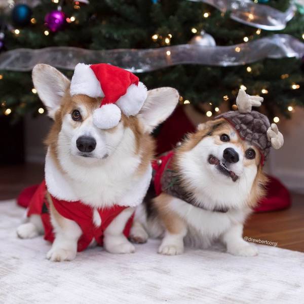 Daily Picdump