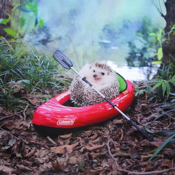 Daily Picdump