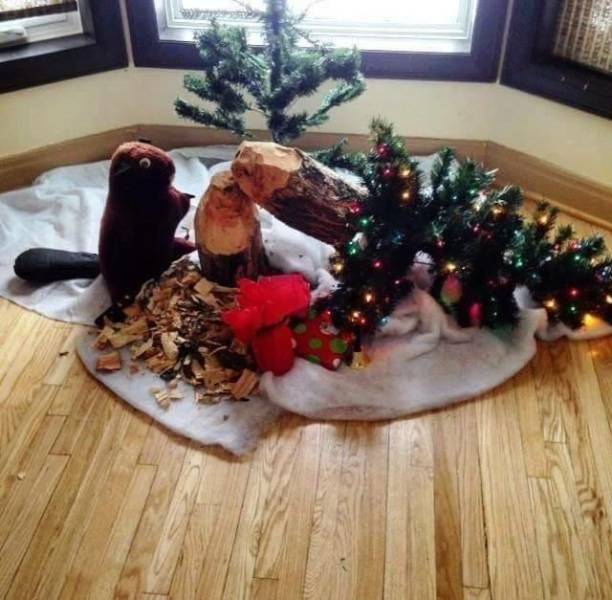Daily Picdump