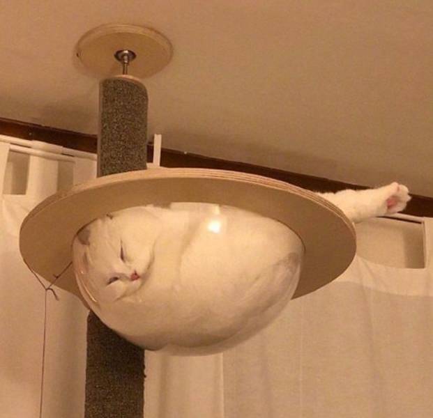 Daily Picdump