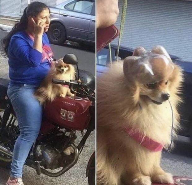 Content Image