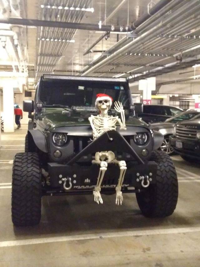Daily Picdump