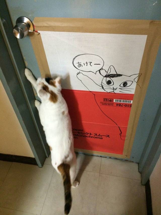 Content Image