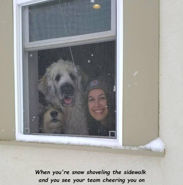 Morning Picdump