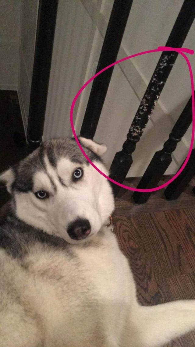 Morning Picdump