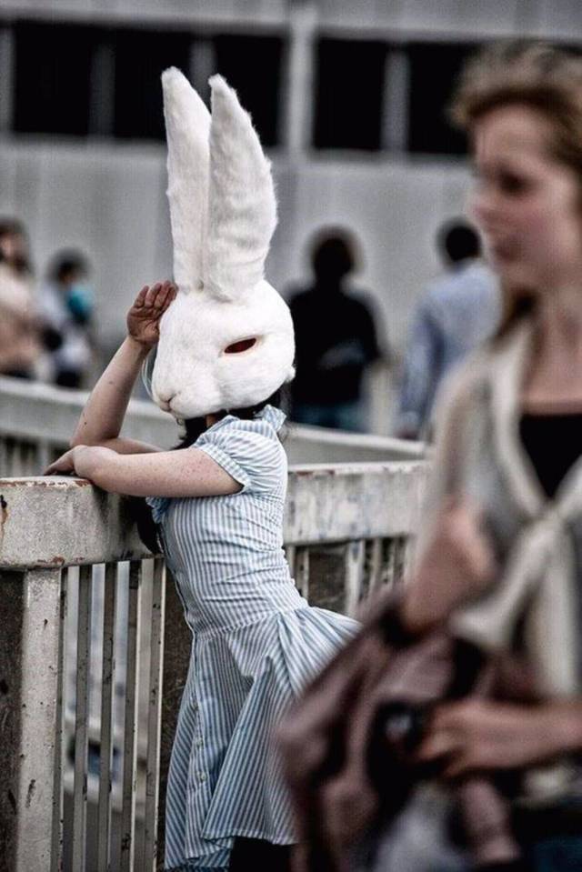 Content Image